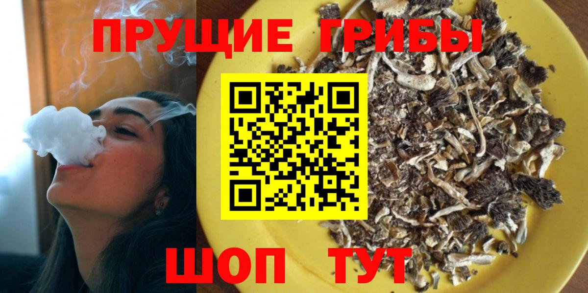 Псилоцибиновые грибы мицелий  Вход с VPN  наркота  Галлюциногенные грибы Cubensis  Нефтекумск 