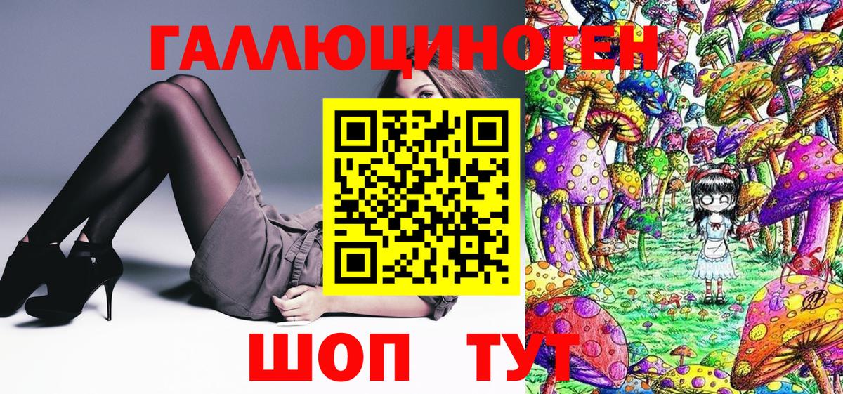 Галлюциногенные грибы Psilocybine cubensis Нефтекумск